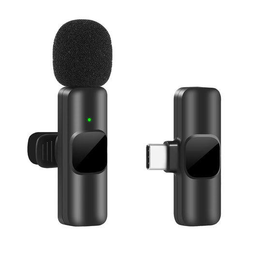 Portable Mini Recording Microphone
